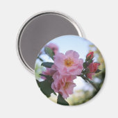 Rosa Rosen Magnet (Vorderseite/Rückseite)