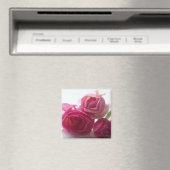 Rosa Rosen Magnet (In Situ (Geschirrspüler))