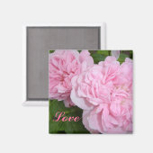 Rosa Rosen Magnet (Vorderseite/Rückseite)