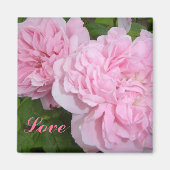 Rosa Rosen Magnet (Vorne)