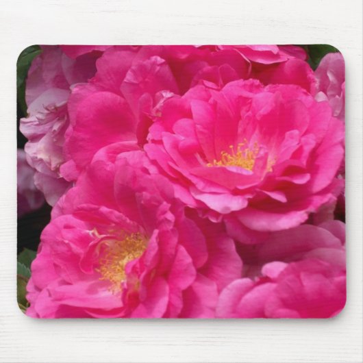 Rosa Rosen-Mausunterlage Mousepad (Vorne)