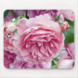 Rosa Rosen Mousepad