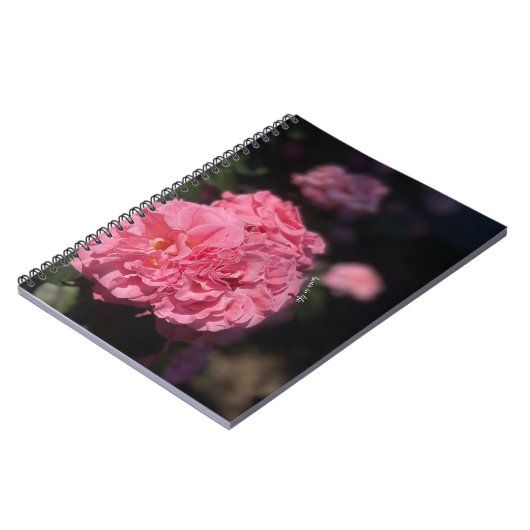 Rosa Rosen Notizblock (Linke Seite)