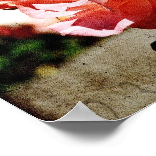 Rosa Rosen Poster (Ecke)