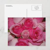 Rosa Rosen - Postkarte (Vorne/Hinten)