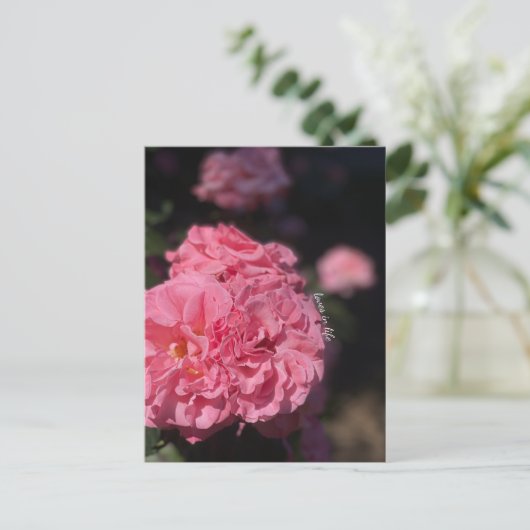 Rosa Rosen Postkarte (Stehend Vorderseite)