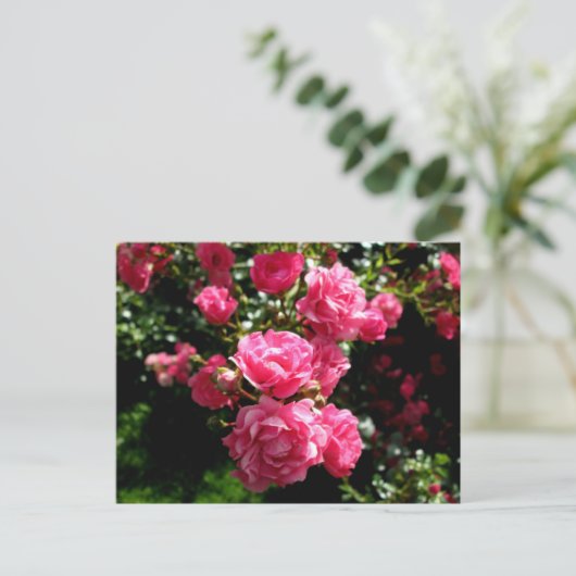 rosa Rosen Postkarte (Stehend Vorderseite)