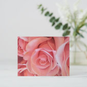 Rosa Rosen Postkarte (Stehend Vorderseite)