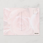 Rosa Rosen Postkarte (Rückseite)