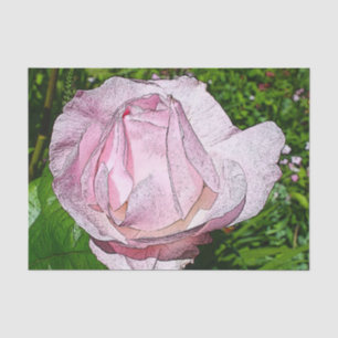 Rosa Rosen-Seidenpapier Seidenpapier
