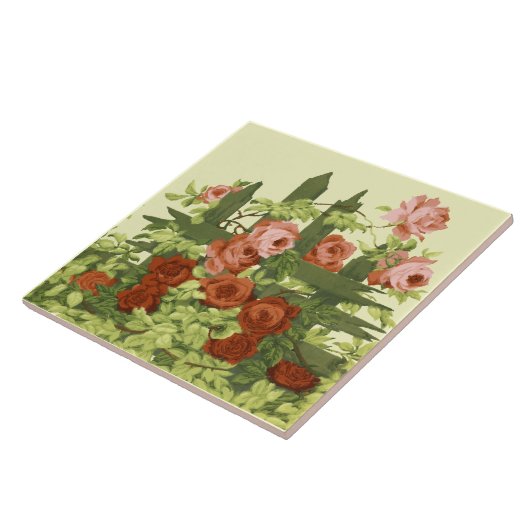 Rosa Rosen und Rosa auf Picket Fence Trellis Friez Fliese (Seite)