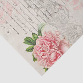 Rosa Rosen und Skripte auf Pergament-Papier Seidenpapier (Ausschnitt)