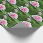 Rosa Rosen-Verpackungs-Papier Geschenkpapier (Ecke)