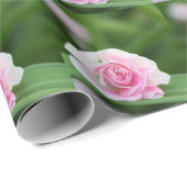 Rosa Rosen-Verpackungs-Papier Geschenkpapier (Rolleneckpunkt)