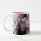 Rosa Rosen Zweifarbige Tasse (Links)