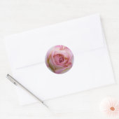 Rosa Rosenaufkleber Runder Aufkleber (Umschlag)