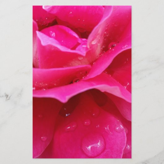 Rosa Rosenblätter Briefpapier (Vorderseite)