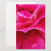 Rosa Rosenblätter Briefpapier (Vorne/Hinten)