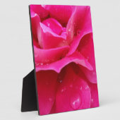 Rosa Rosenblätter Fotoplatte (Seite)