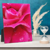 Rosa Rosenblätter Fotoplatte (Seite)