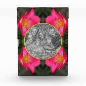 Rosa Rosenblätter gestalten Ihre eigene Fotoblock (Vorderseite)