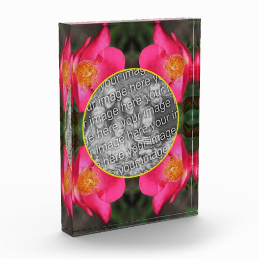 Rosa Rosenblätter gestalten Ihre eigene Fotoblock (Links)