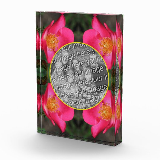 Rosa Rosenblätter gestalten Ihre eigene Fotoblock (Rechts)