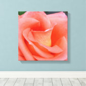 Rosa Rosenblätter Leinwanddruck (Insitu (Holzboden))