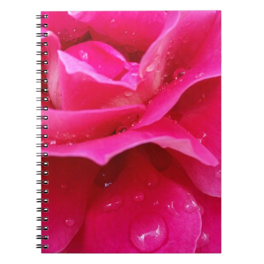 Rosa Rosenblätter Notizblock (Vorderseite)