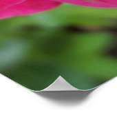 Rosa Rosenblätter Poster (Ecke)
