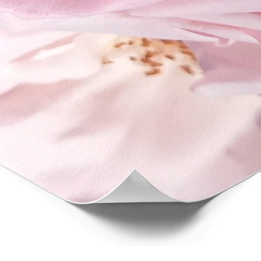 Rosa Rosenblätter Spiral of Liebe Digital Artwork Poster (Ecke)