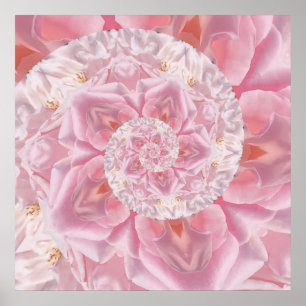 Rosa Rosenblätter Spiral of Liebe Digital Artwork Poster