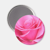 Rosa Rosenblättern - anpassbarer Magnet (Vorderseite/Rückseite)