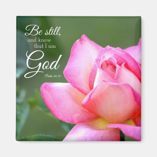 Rosa Rosenbllossom noch Psalm 46:10 Magnet (Vorne)