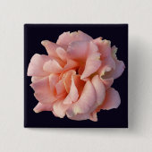 Rosa Rosenblüte Button (Vorderseite)