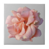 Rosa Rosenblüte Fliese (Vorderseite)