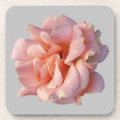 Rosa Rosenblüte Getränkeuntersetzer (Vorderseite)