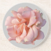 Rosa Rosenblüte Getränkeuntersetzer (Vorne)