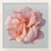 Rosa Rosenblüte Glasuntersetzer (Vorderseite)