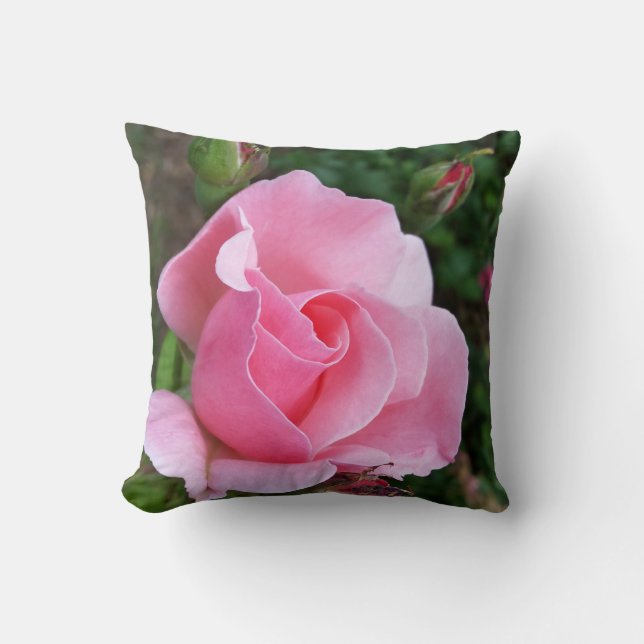 Rosa Rosenblüte Kissen (Vorderseite)