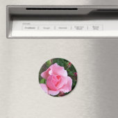 Rosa Rosenblüte Magnet (In Situ (Geschirrspüler))