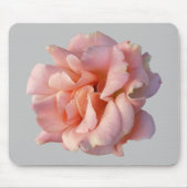 Rosa Rosenblüte Mousepad (Vorne)