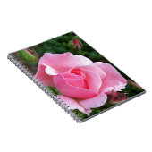 Rosa Rosenblüte Notizblock (Rechte Seite)