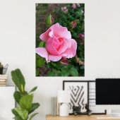 Rosa Rosenblüte Poster (Heimbüro)