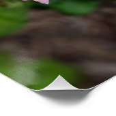 Rosa Rosenblüte Poster (Ecke)