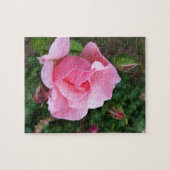 Rosa Rosenblüte Puzzle (Horizontal)