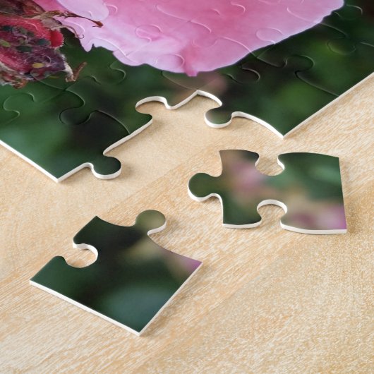 Rosa Rosenblüte Puzzle (Seite)
