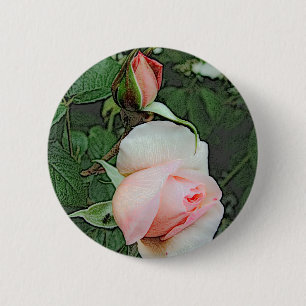 rosa Rosenblüten Button