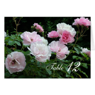 Rosa Rosenblüten Esstisch Nummer Karte.