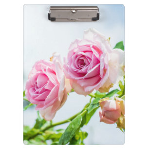 Rosa Rosenblüten Klemmbrett